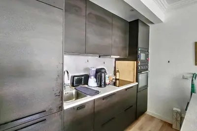 a kitchen with stainless steel cabinets and a sink at HENRI CAMILLE REAL ESTATE- Santiago - 2 bedrooms close Croisette in Cannes