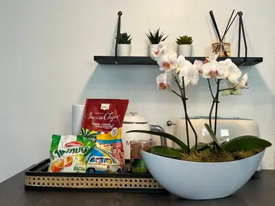 a tray with a bowl of food and a plant at Palais 5min Luxury&Cinema Studio in Cannes