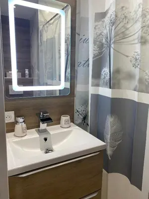 a bathroom with a sink and a mirror and a shower at Studio CANNES PARC CROISETTE in Cannes