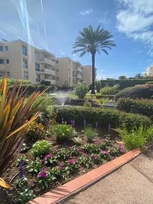 a garden with flowers and a palm tree at Studio CANNES PARC CROISETTE in Cannes