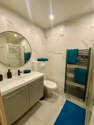 a bathroom with a white toilet and a mirror at Appartement rénové Cannes Suquet in Cannes