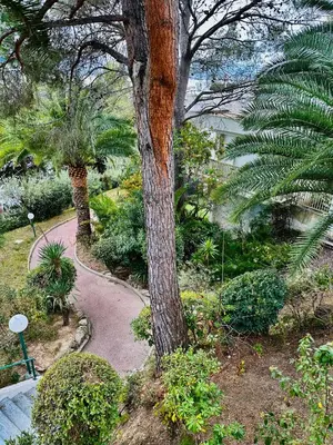 a walkway through a garden with trees and plants at Luxury&Privacy - Pool, Parking, AC - Palais in 5' in Cannes