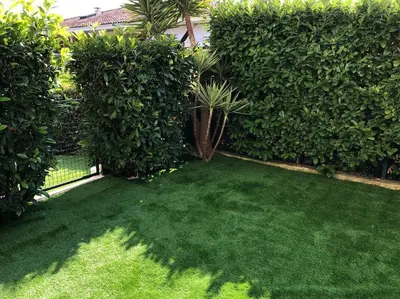 a yard with a hedge and a green lawn at Appartement Les Eucalyptus dans domaine privé à Cannes in Cannes