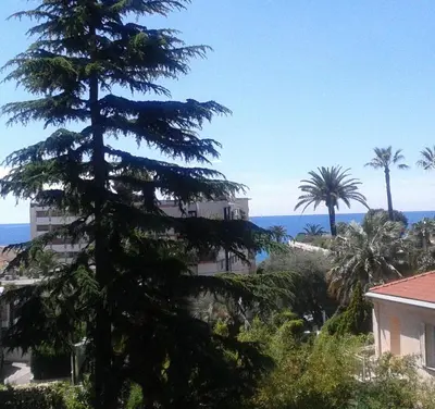 a pine tree in front of a building and the ocean at Holiday or Congress, Centre - Beach in Cannes