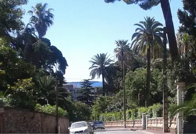 a white car driving down a street with palm trees at Holiday or Congress, Centre - Beach in Cannes