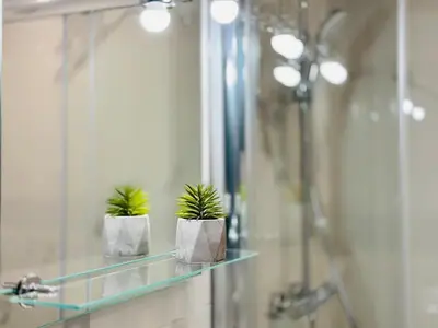 two plants sitting on a glass shelf in a bathroom at Le Royal Carnot - Studio - Cannes Centre Terrasse in Cannes