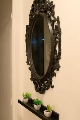 a mirror on a wall with potted plants on a shelf at Studio charmant au cœur de Cannes avec balcon et parking in Cannes