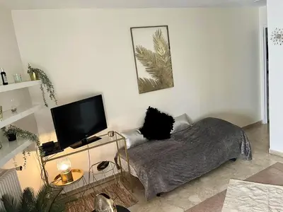 a living room with a bed and a flat screen tv at Studio charmant au cœur de Cannes avec balcon et parking in Cannes