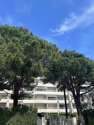 a white building with two trees in front of it at Ambre d' Or apartment by Welcome to Cannes in Cannes