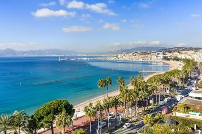a view of a beach with palm trees and the ocean at Cozy renovated apartment - close to Martinez Hotel in Cannes