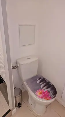 a bathroom with a toilet with a decorated seat at magnifique APPARTEMENT vue mer Parking Piscine Plage Climatisé in Cannes