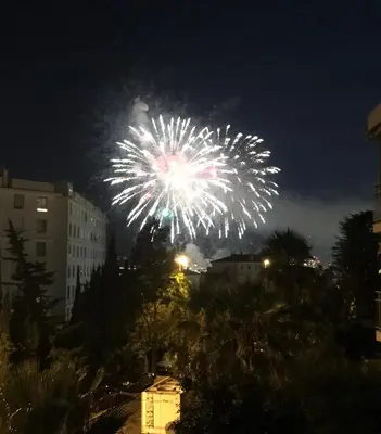 a firework display in the sky at night at Appartement Mimosa Croisette in Cannes