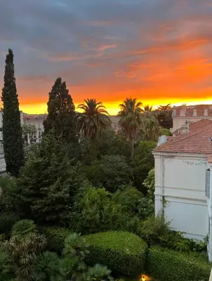 a sunset over a garden with palm trees and buildings at Appartement cannes Croisette in Cannes