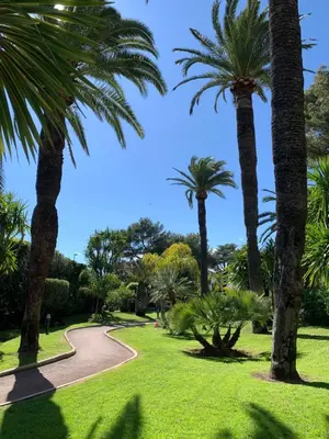a park with palm trees and a path at Studio front de mer, 30M2 Piscine & Mer in Cannes
