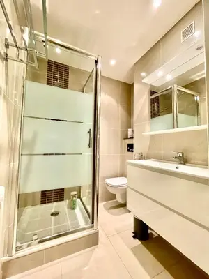 a bathroom with a shower and a sink and a toilet at Bel appartement Centre ville, mer, Croisette in Cannes