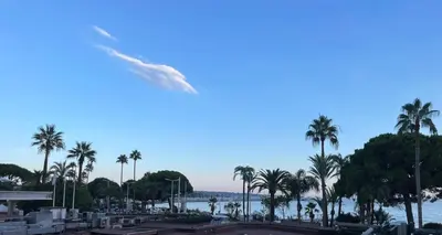 a group of palm trees and a body of water at Cannes: Croisette Quartier Martinez - 90m² in Cannes