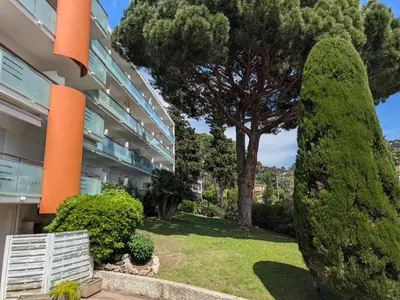 a large bush in front of a building with a tree at Cannes Isola Bella entre mer et montagne in Cannes