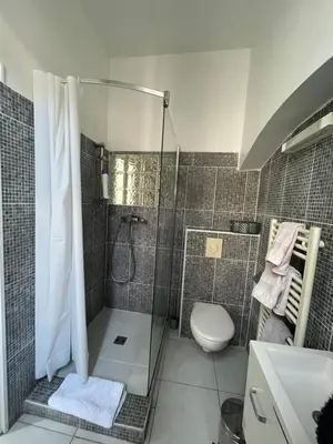 a bathroom with a shower and a toilet at Studio au cœur de Cannes in Cannes