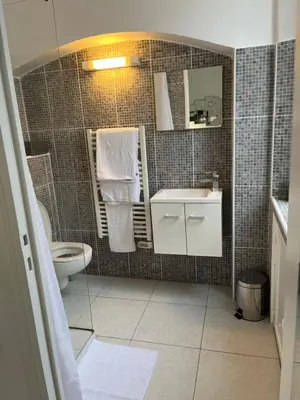 a bathroom with a toilet and a sink and a mirror at Studio au cœur de Cannes in Cannes