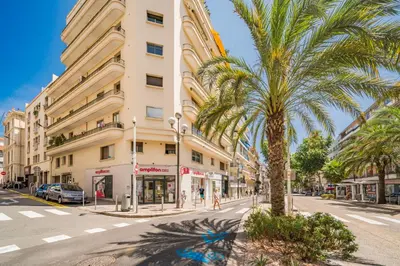 a palm tree on a street in front of a building at Centre - 10mn Palais - Plages - Croisette - AT in Cannes