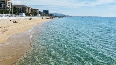 a view of the beach and the ocean at Cosy 3pièces à 5min de la plage in Cannes