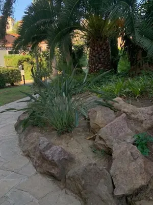 a garden with rocks and a palm tree at Lovely cosy nest close to the centre of Cannes in Cannes