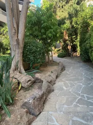 a tree growing out of a stone walkway at Lovely cosy nest close to the centre of Cannes in Cannes