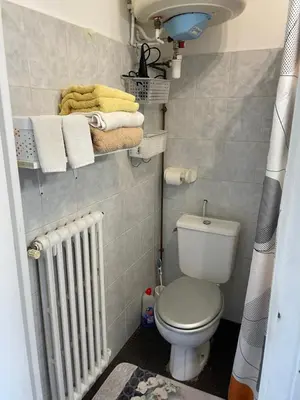 a small bathroom with a toilet and towels at Studio in Cannes