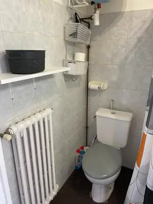 a small bathroom with a toilet and a radiator at Studio in Cannes