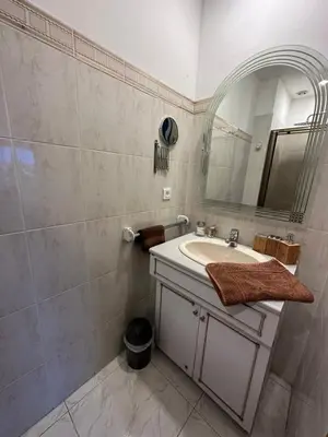 a bathroom with a sink and a mirror at Chambre privée avec salle d’eau et terrasse au calme in Le Cannet