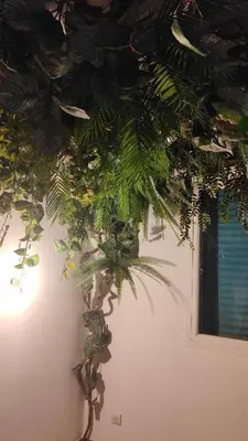a bunch of plants hanging from a ceiling at Jungle Room Jacuzzi Privé Évasion en amoureux in Cannes