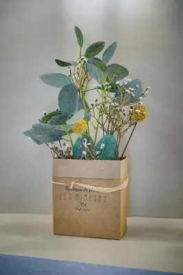 a plant in a box sitting on a table at Joli Studio TERRASSE, Venizelos-CANNES CENTRE A0B169 in Cannes