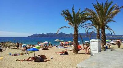 a group of people on a beach with palm trees at Luxurious Villa with heated pool 6BR-12p - Cannes in Cannes