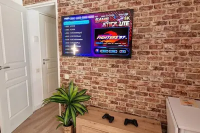 a television hanging on a brick wall with a plant at WOW* mer/piscine/climat/parking in Cannes