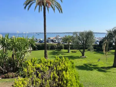 a park with palm trees and the ocean in the background at Les yeux dans le bleu, Cannes Vue mer in Cannes