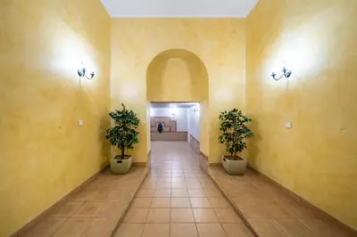 a hallway with two potted plants in a building at Hypercentre - Palais - Croisette - Suquet - AY in Cannes