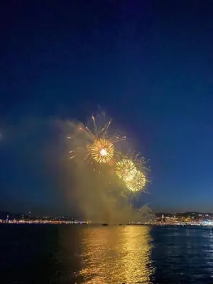 a firework display in the sky over the water at Rumah Bali in Cannes