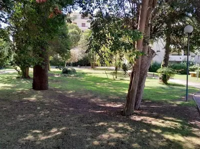 a park with two trees and a street light at Appartement 2 pièces dans résidence avec piscine Isola Bella in Cannes