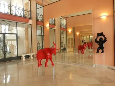 a man taking a picture of a red dog in a building at Studio Croisette in Cannes