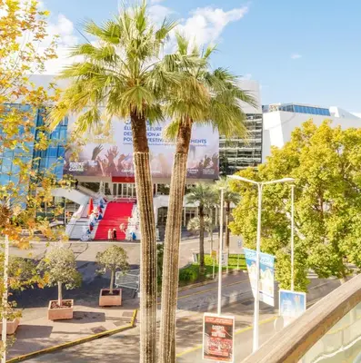 a couple of palm trees in a city at PLEIN SUD - le tapis rouge Croisette in Cannes