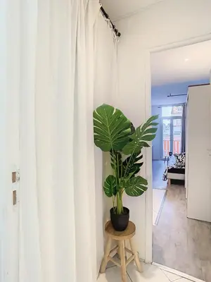 a plant sitting on a stool next to a white curtain at L'horloge I - Studio - 15 min Palais - Cannes in Cannes