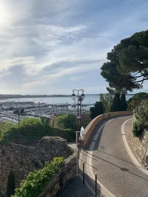 a winding road with a tree on the side of a hill at THE HEART OF CANNES 5MIN BY LA CROISETTE AND BEACH in Cannes