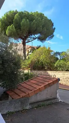 a bench sitting in front of a tree at Centre ville à 5 mn à pied du Palais et plages in Cannes