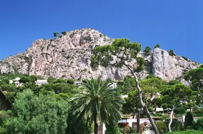 a mountain in front of a city with trees at CannesVacationRental by AmericanVacationLIving 1BR in Cannes