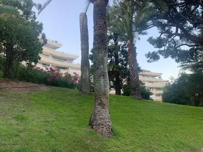 a group of palm trees in front of a building at Cannes vue mer in Cannes