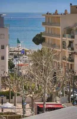 a group of trees with the ocean in the background at FRGK 