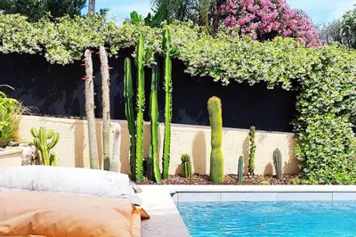 a garden with cactus and a swimming pool at FRGK