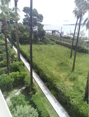a view from a window of a park with palm trees at Cozy cocoon with balcony close to the sea in Cannes