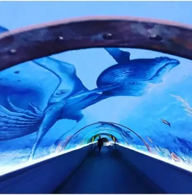 a person walking down a tunnel with a painting of dolphins at A&H Homes - Cannes Beach - Near Train Station in Cannes