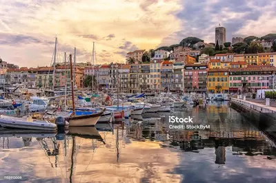 a group of boats docked in a harbor with buildings at Joli appartement vue sur mer in Cannes